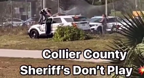 Police run over someone trying to hide in a bush