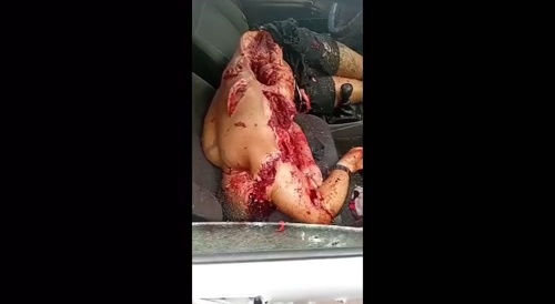 Shot him to bits