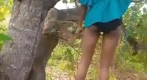 Pregnant Anambra Woman Found Hanging In Green Grove