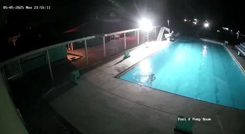 Late night swim