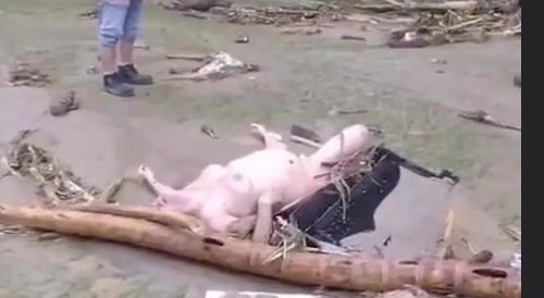 Unhappy Flood Victim