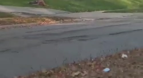 Hood guy vs police shooting