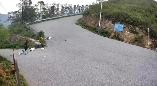 Four Stupid Bitches On A Moped
