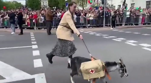Goat tried to disrupt the victory parade