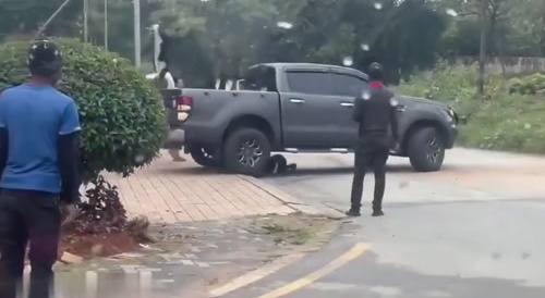 Ran  over