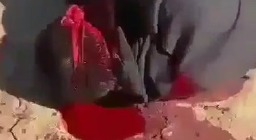 Rival gets fucked up(cartel)