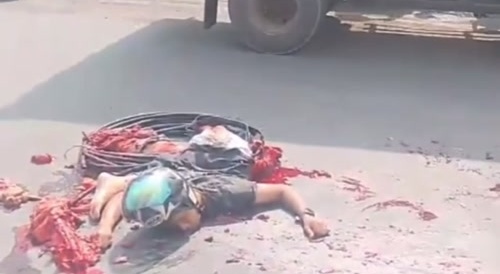 Another road kill