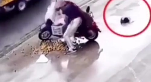 LOL: Clumsiest Thief Ever