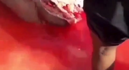 Man got taken a bite off