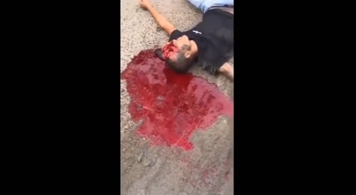 DEAD ASS