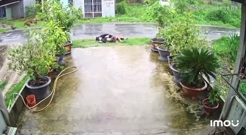 Invisible electric wire kills 2 men