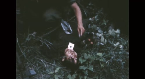 Vietnam Clip