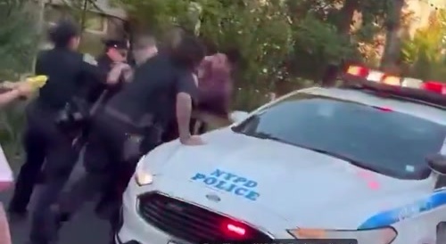 Crowd Fights Cops over a Phone