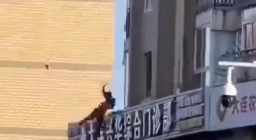 Fall of building during fire