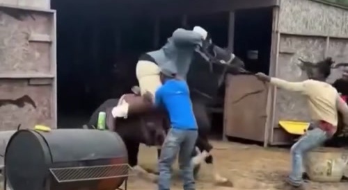 Big Cowboys eat good.