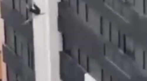 Fall from building