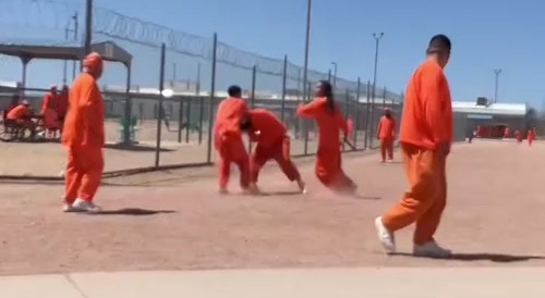 Prison Fight!