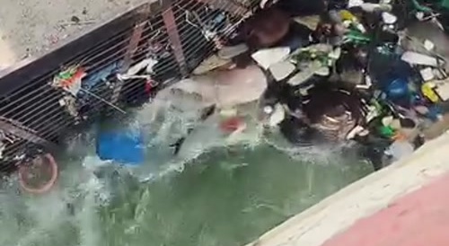 Dude drown