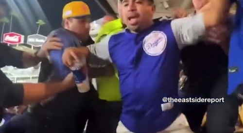 Anti ICE Protesters get Kicked Out of LA Dodgers Game