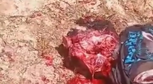 Bloodbath in Haiti