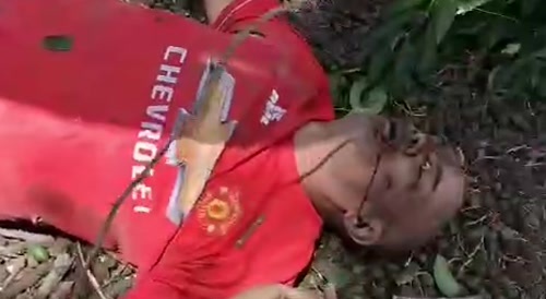 Guy cut in half
