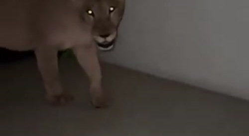 POV: You Died