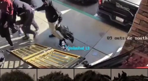 Group of Thugs Rob Jewelry Store