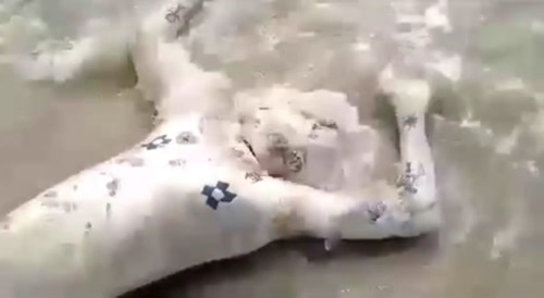 A man's corpse found on a beach after drowning