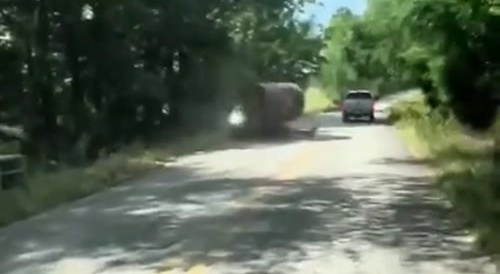 Florida Man's Roller Detaches, Slams into Oncoming Car