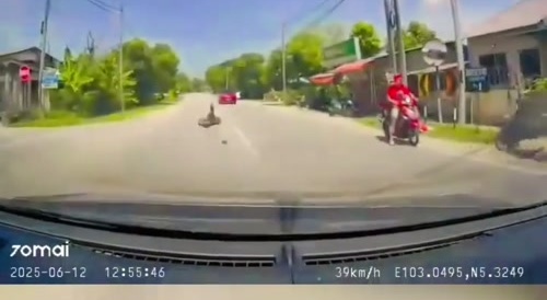 overtaking gone wrong