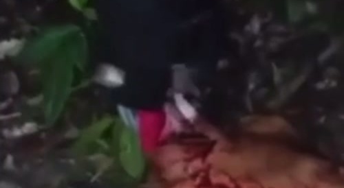 Young woman dismembered after betrayed gang