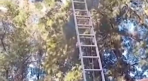 Dumbass being a dumbass