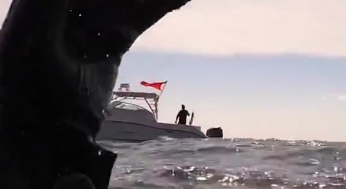 Seal vs Fisherman in a direct battle for a fish to eat for survival