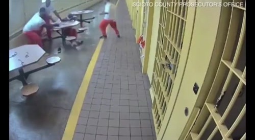 Prison Fight
