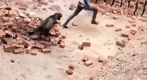 Glitter's Pussy Fights Back