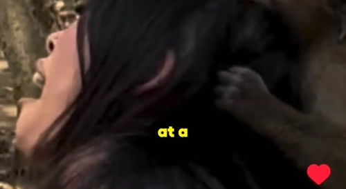 MidgetGirlMonkeyBite