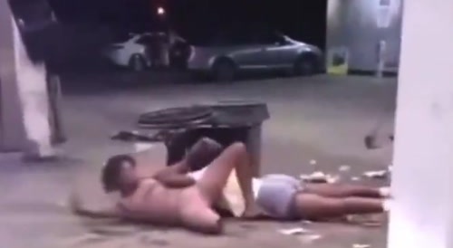 One Legged Ratchet Wins Fight