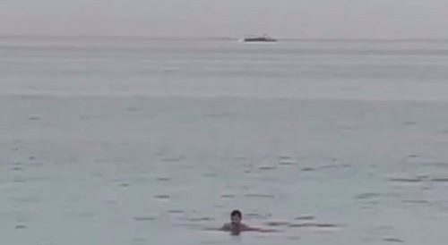 Shark attack