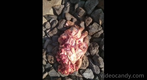 Female Train Parts Found