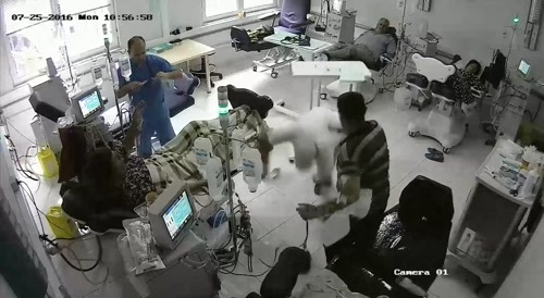 An interesting method of treatment.