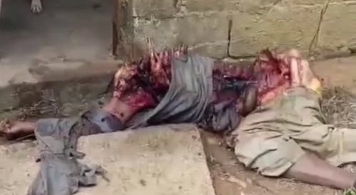 Old dude found mutilated outside his home