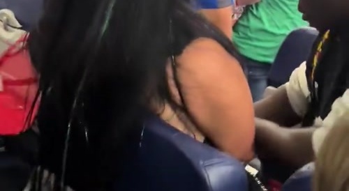 Airplane karen meltdown