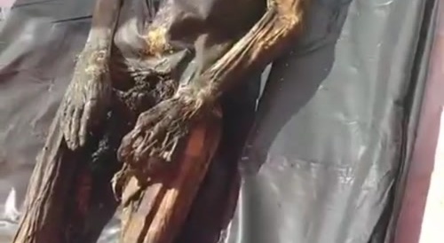 Putrified body found in the jungle