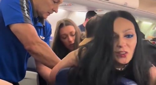 Airplane karen meltdown