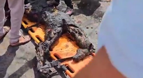 Plane crash left one survivor (-242+1)