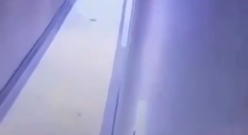 Man Hunts Down Rival but Gets Killed Instead
