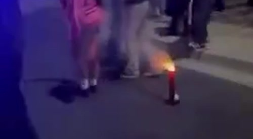 IDIOTA