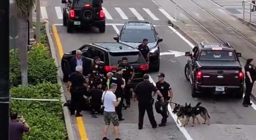 Trump Hater Gets Instant Karma - K9 wanted some white meat