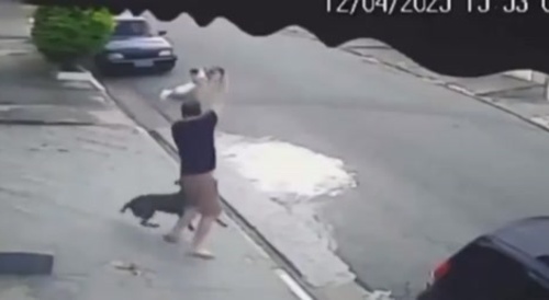 Angry dog attacks random man