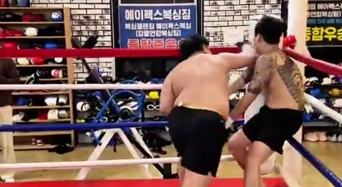 Street Fighter Challenges Heavyweight MMA Fighter